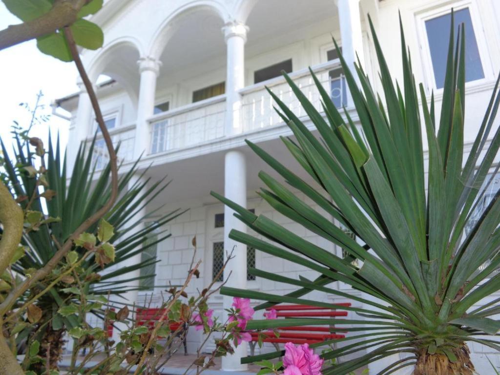 White Guest House Batumi Bagian luar foto