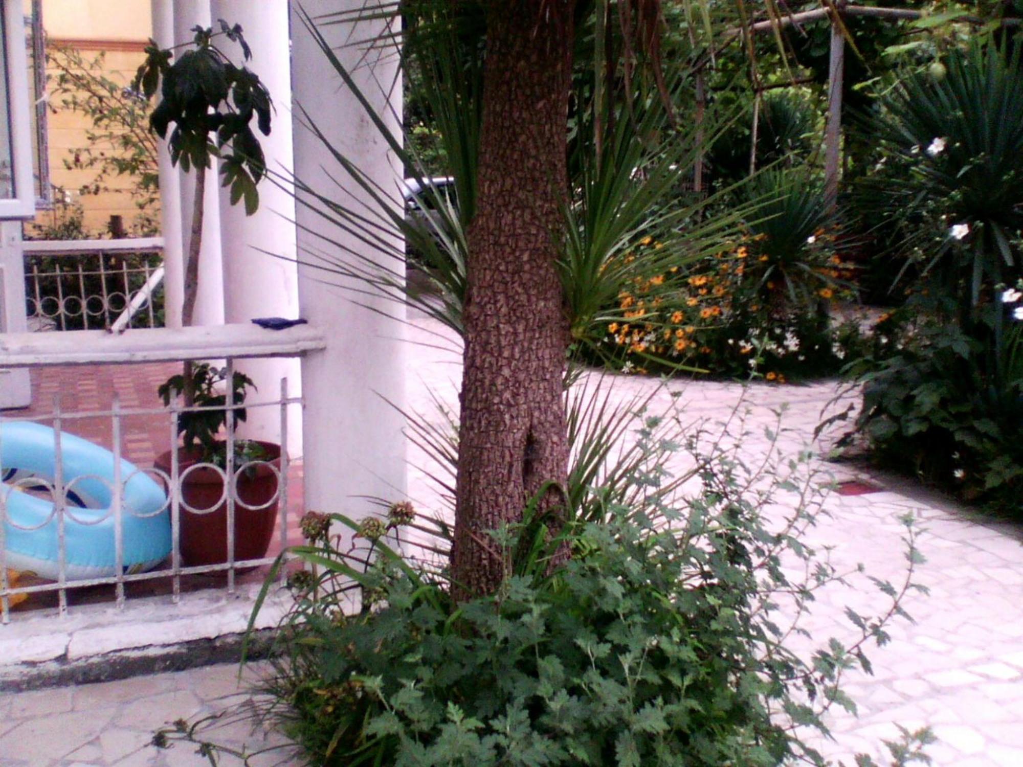 White Guest House Batumi Bagian luar foto